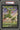 2022 POKEMON SWSH BLACK STAR PROMO #295 VIRIZION V VIRIZION V BOX-JUMBO