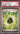 Basic Grass Energy Cracked Ice Holo PSA 9 - 2024 Pokemon SVE EN