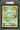 2021 POKEMON FIRST PARTNER JUMBOS #44 BULBASAUR JUMBOS
