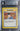 Brock BGS 7 - 2000 Pokémon Gym Heroes Unlimited