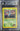 Brock’s Zubat BGS 6.5 - 2000 Pokémon Gym Heroes Unlimited