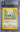Mareep BGS 9 - 2001 Pokémon Neo Discovery Unlimited