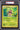 Chespin PSA 3 - 2021 POKEMON FIRST PARTNER Jumbo Card